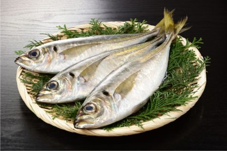 טרכון כ- 500 גרם