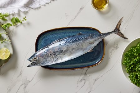 פלמידה שחורה (1 ועד 2 ק״ג)