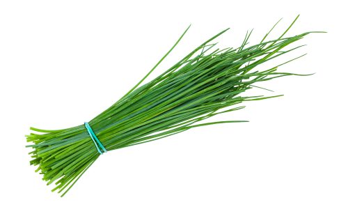 מארז עירית